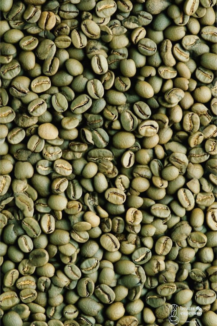 Future of Coffee